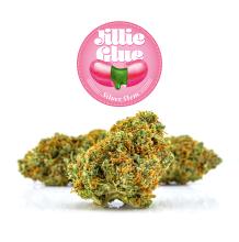 Jilly Glue | Sativa-Hybrid