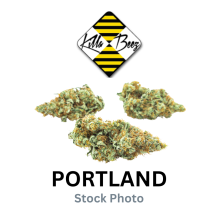 Killa Beez | Permanent Marker Indica Preroll 1g