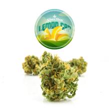Lemon Cap | Sativa