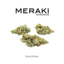 Meraki | Studio 54 Hybrid