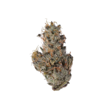 Meraki | Sunny D Sativa