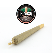 Mimosa Preroll | Sativa