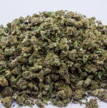 Mimosa Shake | Sativa