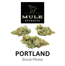 Mule Infused Preroll | Green Cr@ck x Voodoo 1g