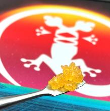 Newt Brothers Sugar Wax | Lost Tribe 1g Rec