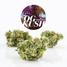 OG Kush | Indica-Hybrid