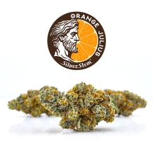 Orange Julius | Sativa-Hybrid