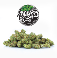 Orange Krush Popcorn | Indica