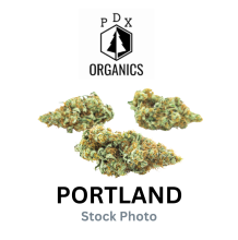 PDX Organics | The Juice Sativa-Hybrid Blunt 1g