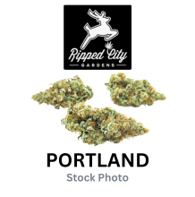 Ripped City | Blueberry Cupcakes Hybrid