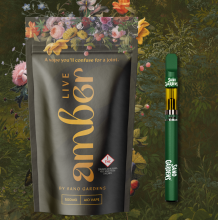 Sano Gardens Amber All In One | Violet Vixen 500mg Med