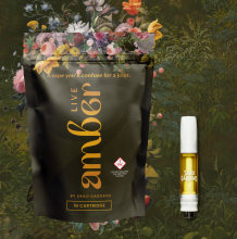 Sano Gardens Amber Cartridge | Strawberry Mochi 1000mg Med