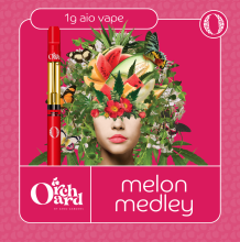 Sano Gardens Orchard All In One | Melon Medley 1g Med