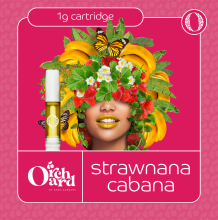 Sano Gardens Orchard Cartridge | Strawnana Cabana 1g Rec