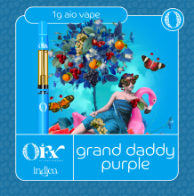 Sano Gardens Orchard FX All In One | Grand Daddy Purple 1g Rec