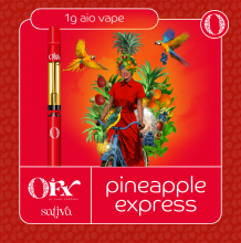 Sano Gardens Orchard FX All In One | Pineapple Express 1g Rec