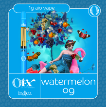 Sano Gardens Orchard FX All In One | Watermelon OG 1g Rec