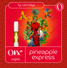 Sano Gardens Orchard FX Cartridge | Pineapple Express 1g Rec