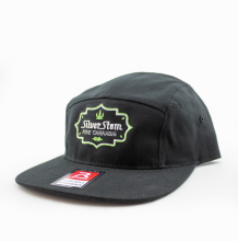 Silver Stem | Black 5 Panel Snapback