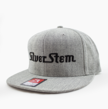 Silver Stem | Grey Leather Band Snapback