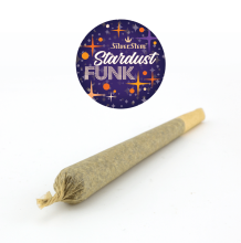 Stardust Funk Preroll | Hybrid
