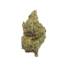 Sugarbud | Scouts Honor Indica-Hybrid Preroll .5g