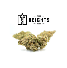 The Heights Co. | Horchata Hybrid