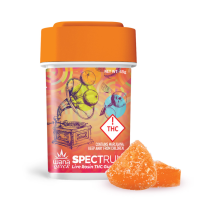 Wana Fast Acting Rosin Gummies | Citrus Sorbet 100mg Rec