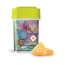 Wana Fast Acting Rosin Gummies | Tropical Smoothie 100mg Rec
