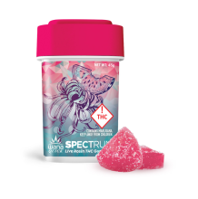 Wana Fast Acting Rosin Gummies | Watermelon Slushy 100mg Rec