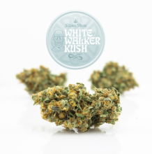 White Walker Kush | Hybrid