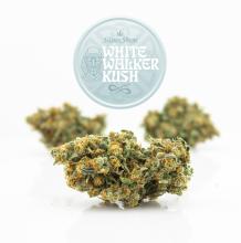 White Walker Kush | Hybrid