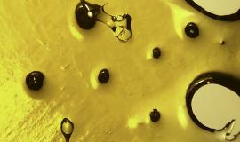 Solventless vs. Solvent-Based Extracts: What’s the Difference & Which Is Better?