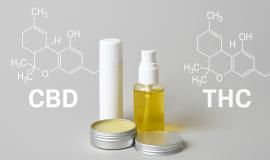CBD Topicals vs THC Topicals: Which One Is Right for You?