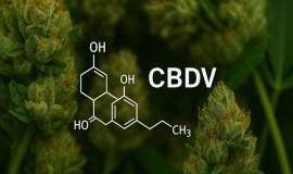 CBDV Cannabinoid: What It Is and How It Differs from CBD and THC
