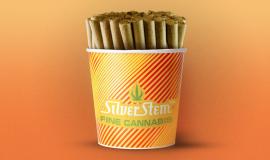 Cannabis Pairing Guide: Best Strains for Coffee, Music, and More