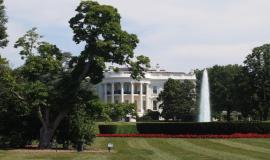 Federal Marijuana Rescheduling Moves Into the Fast Lane