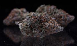 Cap Junky Strain Review: The Frosty Hybrid That Delivers on Every Level