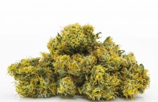 Labor Day OZ Special at Northfield