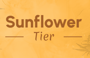 Sunflower Tier