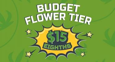 Budget Tier