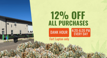 12% OFF All Purchases