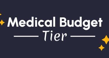 Medical Budger Tier