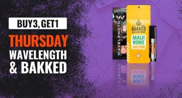 Wavelength & Bakked December 2025