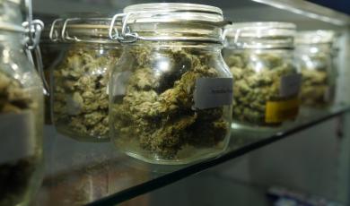Retail Associate aka Budtender - Evening Shift/Fraser