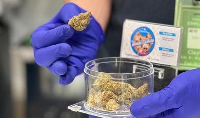 Retail Associate aka Budtender | Commerce City