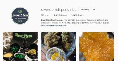 5 Reasons to Follow Silver Stem’s Instagram Account