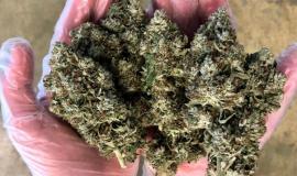 How to Become a Budtender in Colorado