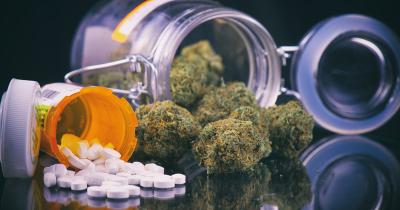 Understanding the Interplay Between Cannabis and Pharmaceuticals