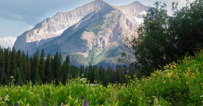 Spring in Colorado: Events 2024, Activities, and a Touch of Green